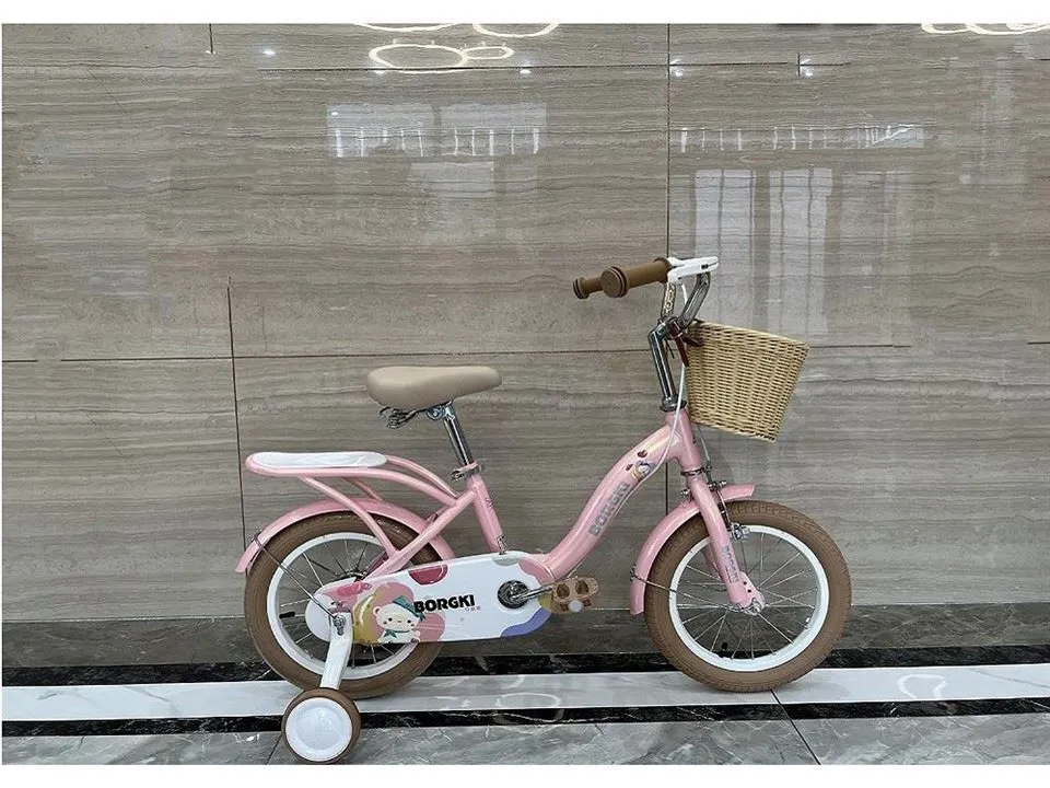 Children Bicycle Girl