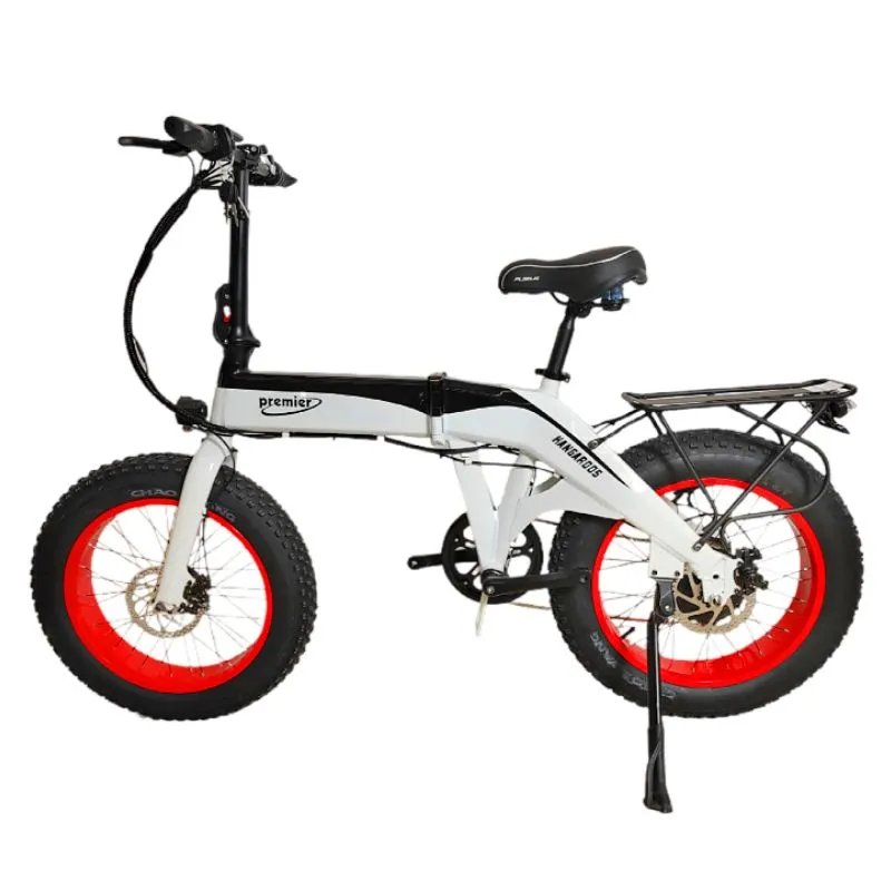 Electric Folding E-Bike Bicycle