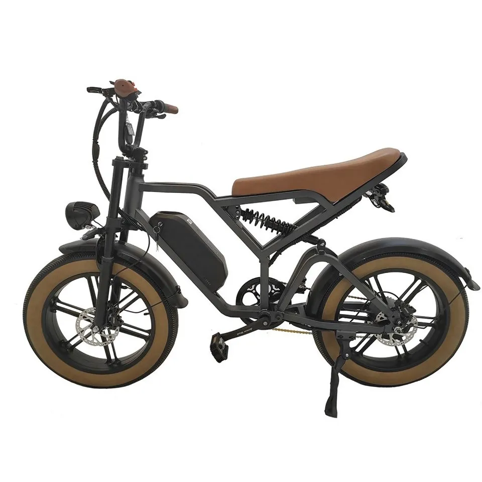 Fat Tire Electric Bike