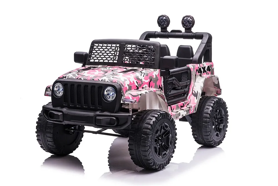 کاروں میں بچوں کی سواری۔