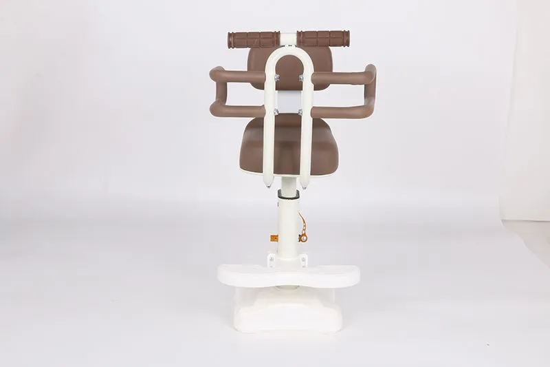 الیکٹرک سائیکل چائلڈ سیٹ