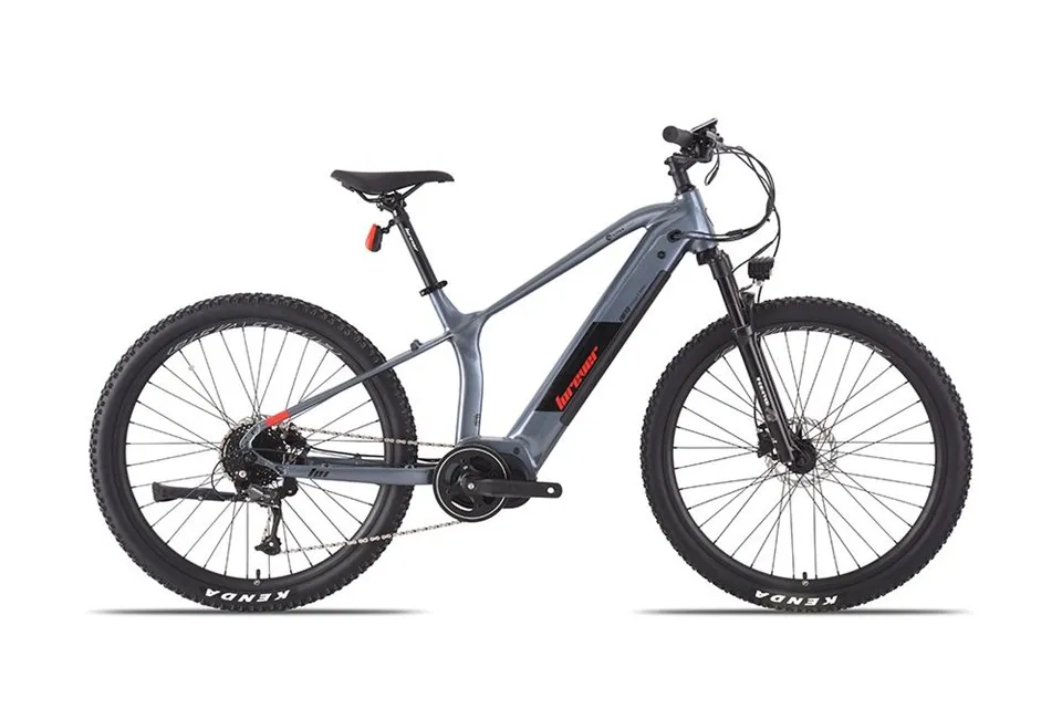 بالغوں کے لیے الیکٹرک بائیک