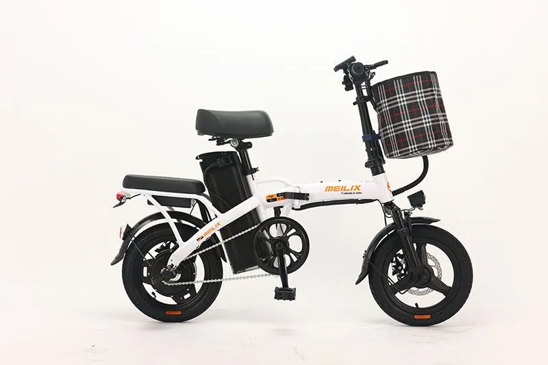 Folding Electric Bike
