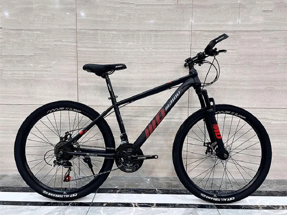 خصوصی بائیک ماؤنٹین