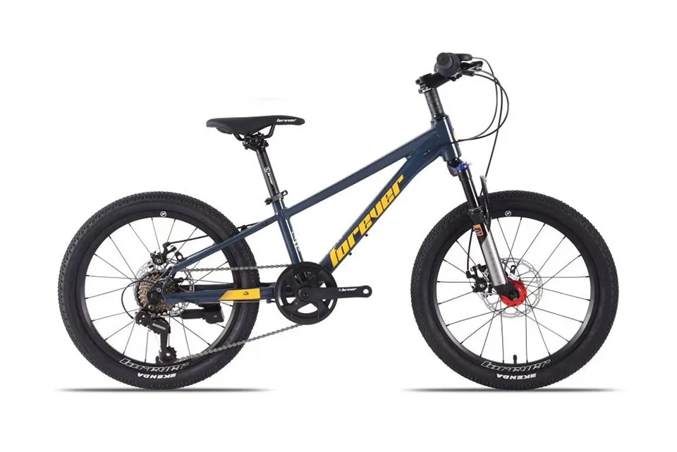 مرد اور خواتین ماؤنٹین بائیک