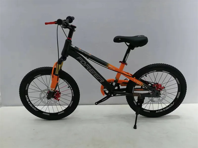 22 Inch Children's Bike Outdoor Sports